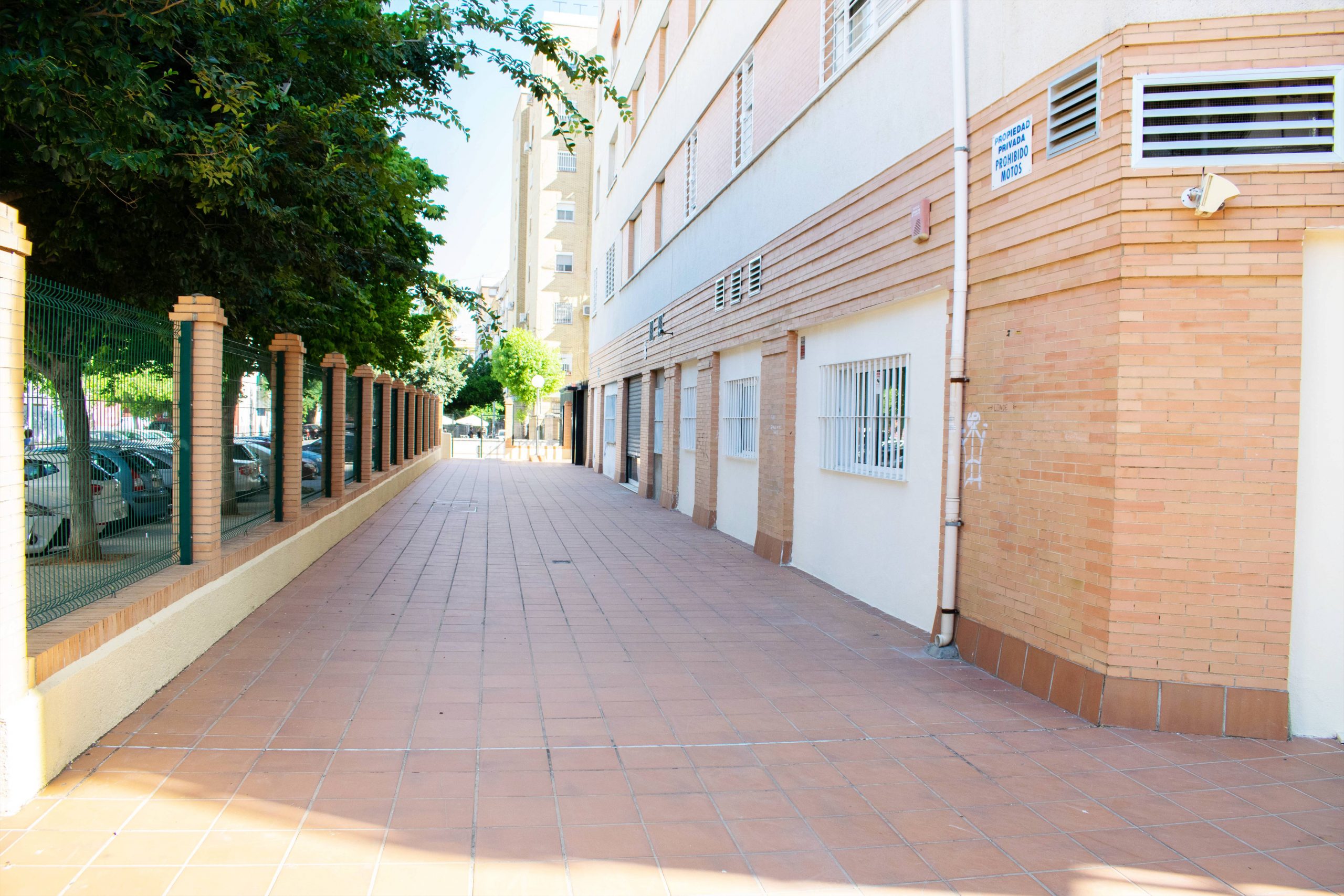 centro de dia junta de andalucia