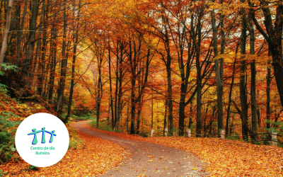 Actividades de otoño para personas mayores
